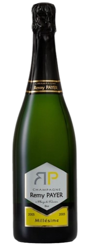 Rémy Payer Brut Millésimé 2008 Champagne
